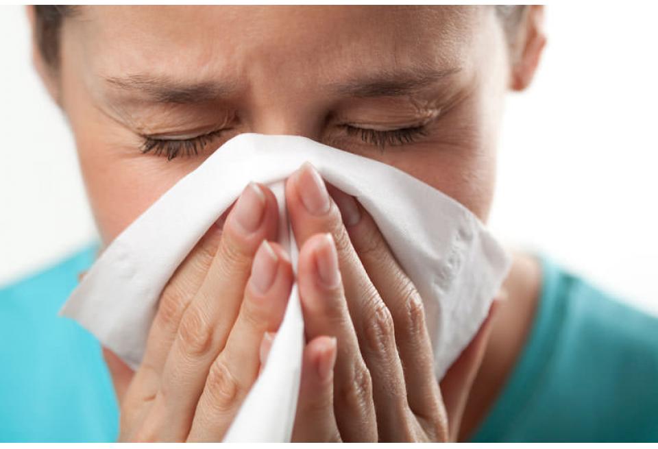 gynzauwjlp58a40d5fa9f4d